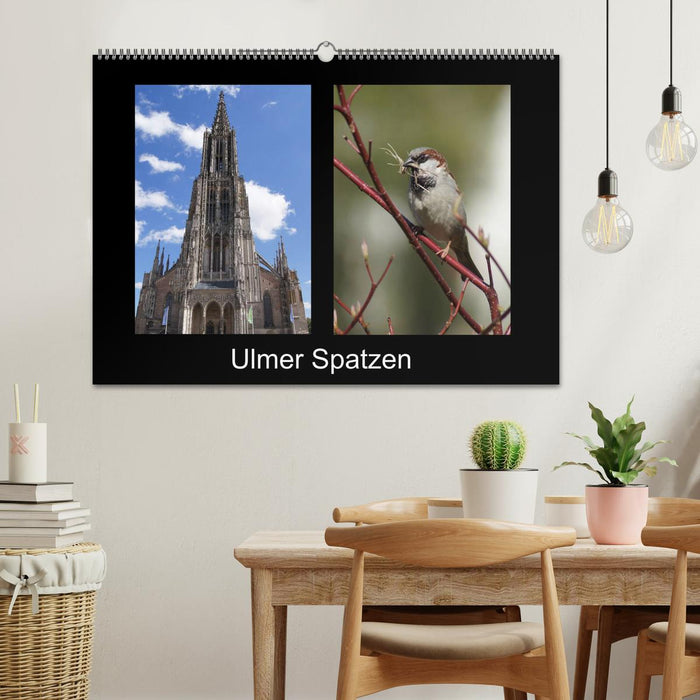 Ulmer Spatzen (CALVENDO Wandkalender 2025)