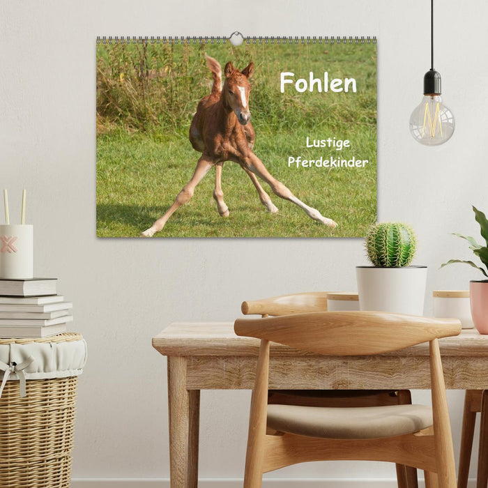 Fohlen - Lustige Pferdekinder (CALVENDO Wandkalender 2025)