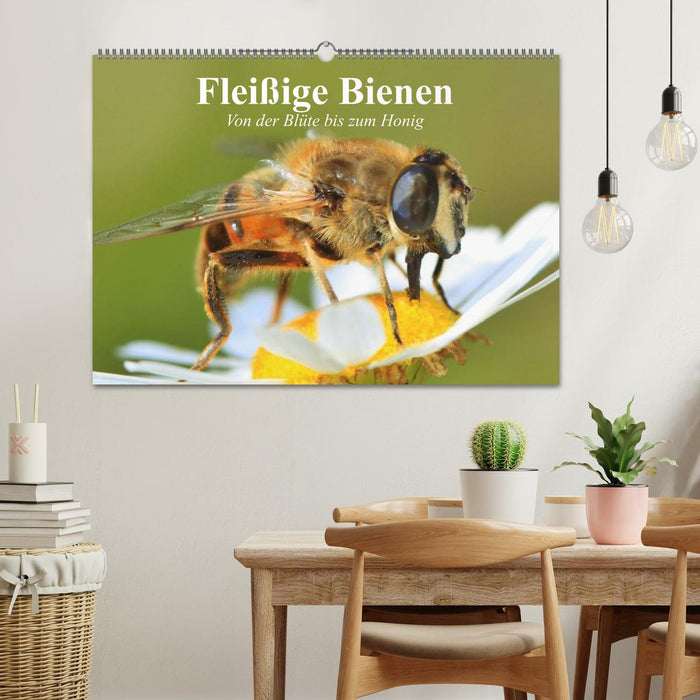 Fleißige Bienen. Von der Blüte bis zum Honig (CALVENDO Wandkalender 2025)