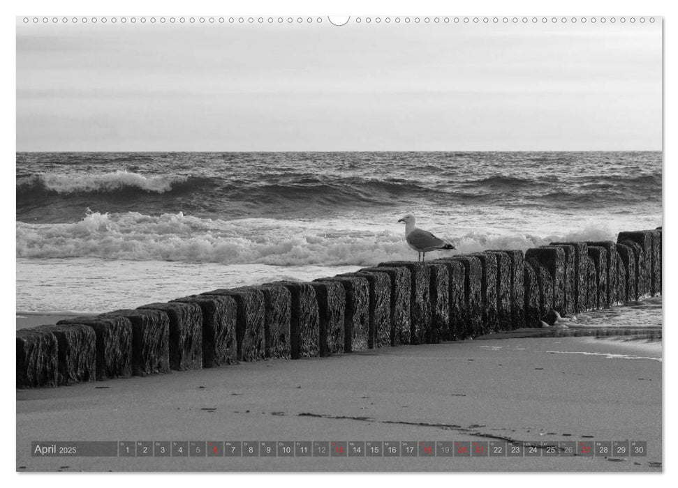 54°54'57"N 8°19'51"E SYLT (CALVENDO Wandkalender 2025)