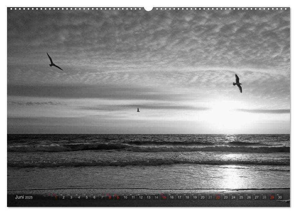 54°54'57"N 8°19'51"E SYLT (CALVENDO Wandkalender 2025)