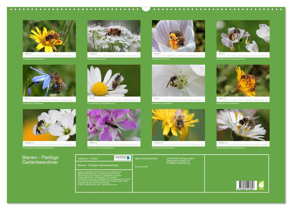 Bienen - Fleißige Gartenbewohner (CALVENDO Wandkalender 2025)