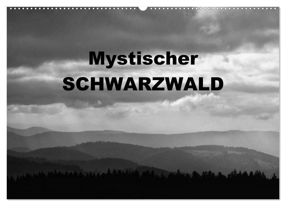 Mystischer Schwarzwald (CALVENDO Wandkalender 2025)
