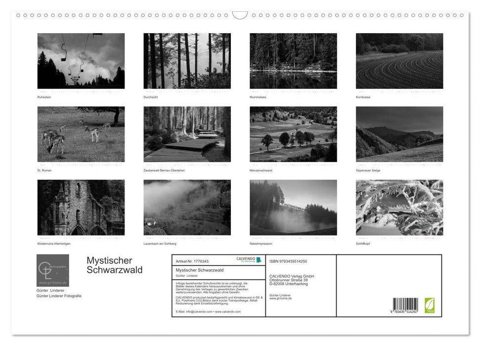 Mystischer Schwarzwald (CALVENDO Wandkalender 2025)