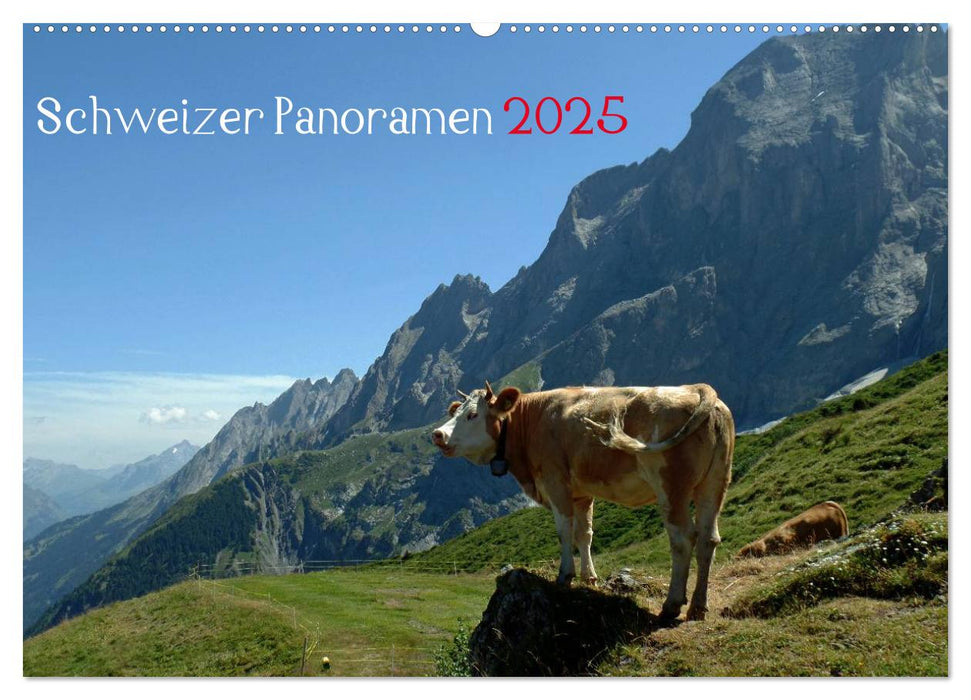 Schweizer Panoramen (CALVENDO Wandkalender 2025)