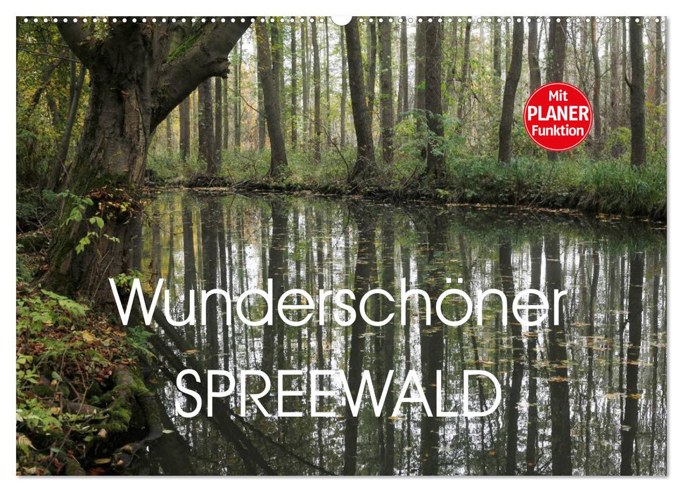 Wunderschöner Spreewald (CALVENDO Wandkalender 2025)