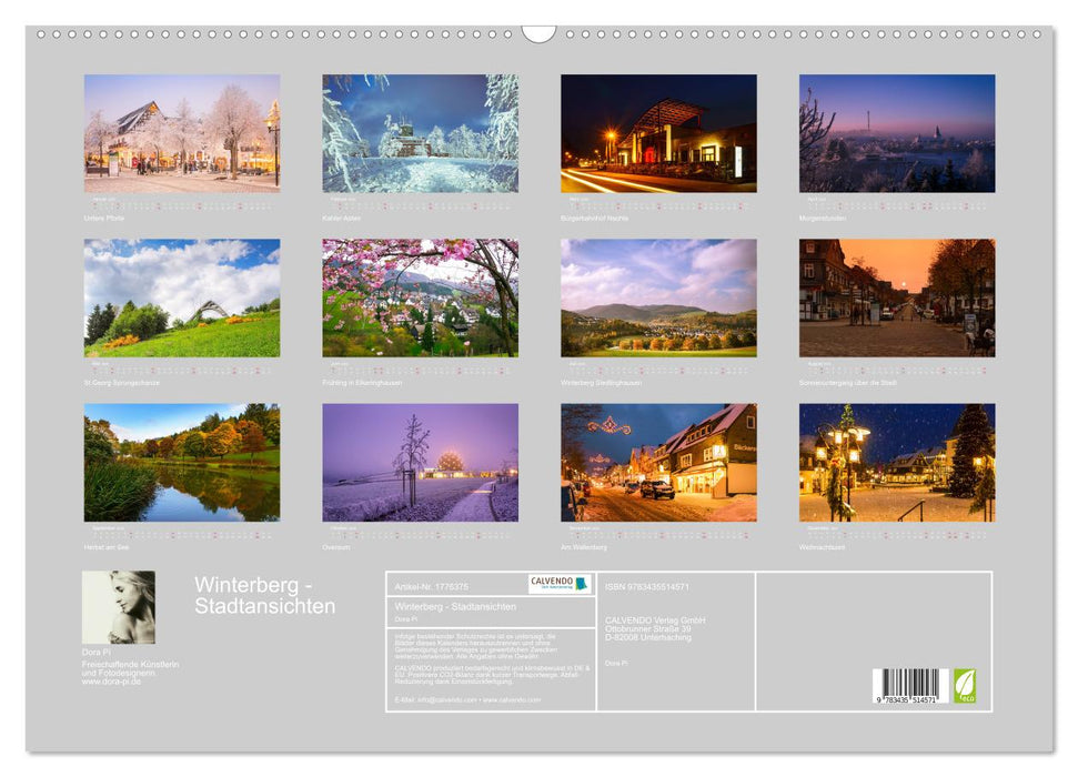 Winterberg - Stadtansichten (CALVENDO Wandkalender 2025)
