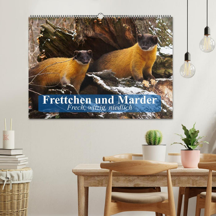 Frettchen und Marder. Frech, witzig, niedlich (CALVENDO Wandkalender 2025)