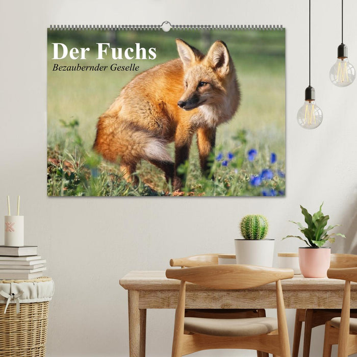 Der Fuchs. Bezaubernder Geselle (CALVENDO Wandkalender 2025)