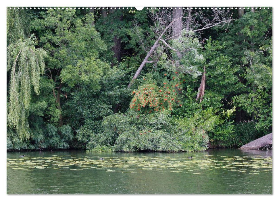 Urlaubsparadies Scharmützelsee (CALVENDO Wandkalender 2025)