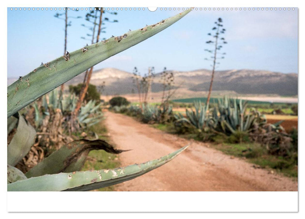 Fotoimpressionen aus Andalusien (CALVENDO Wandkalender 2025)