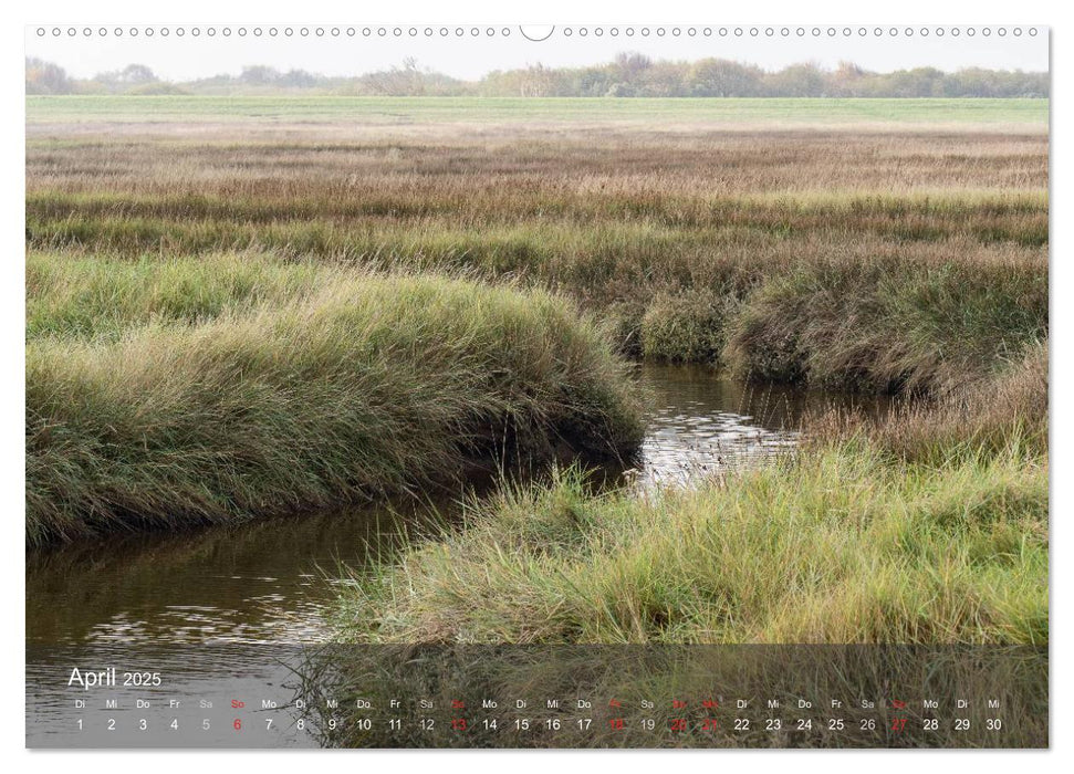 Texel - Meine Insel (CALVENDO Wandkalender 2025)