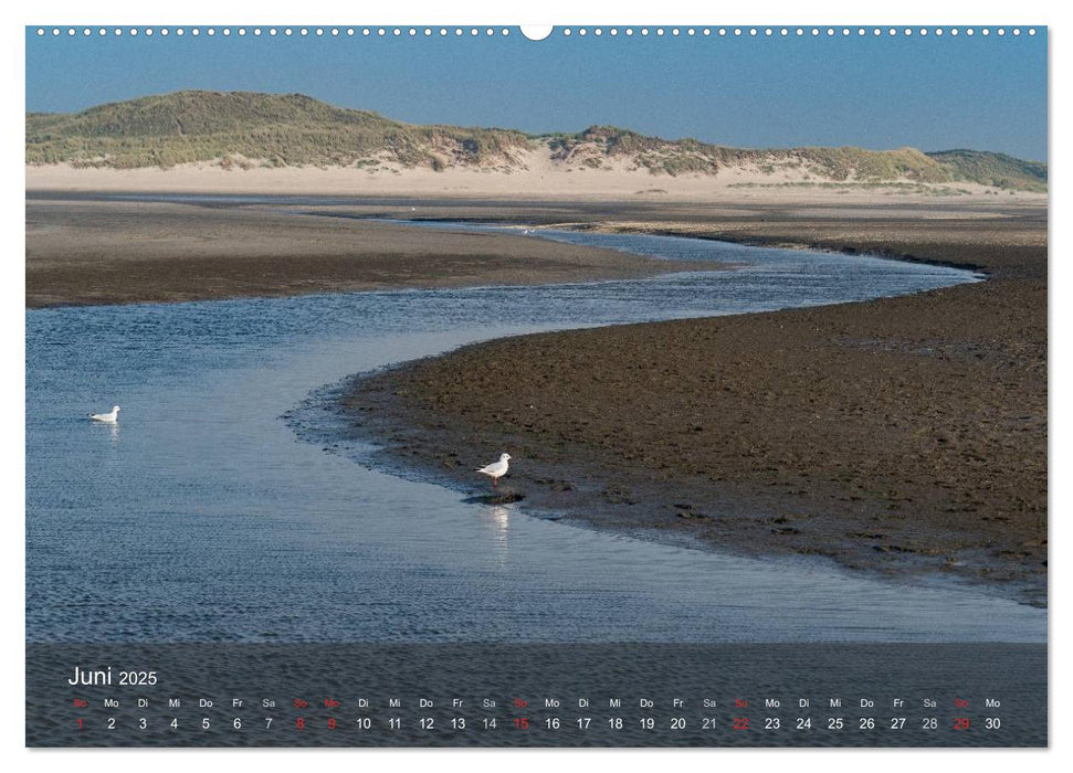 Texel - Meine Insel (CALVENDO Wandkalender 2025)