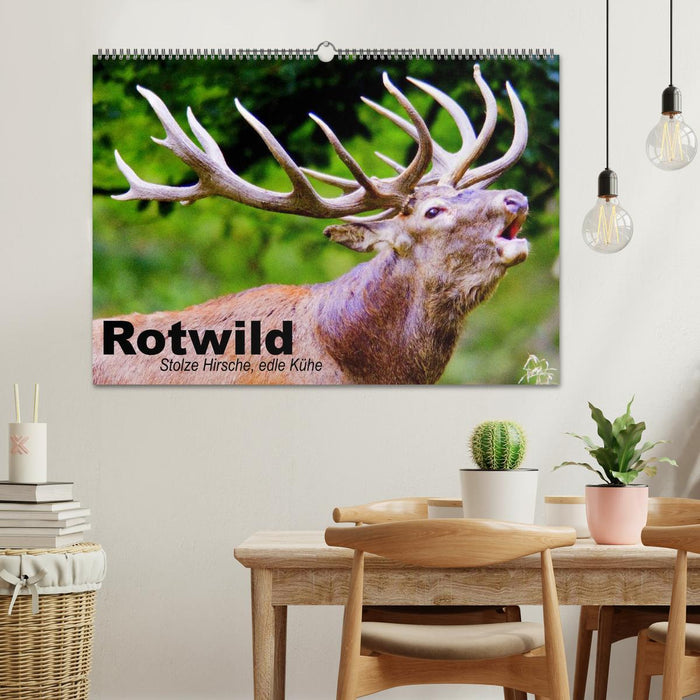 Rotwild. Edle Hirsche, stolze Kühe (CALVENDO Wandkalender 2025)