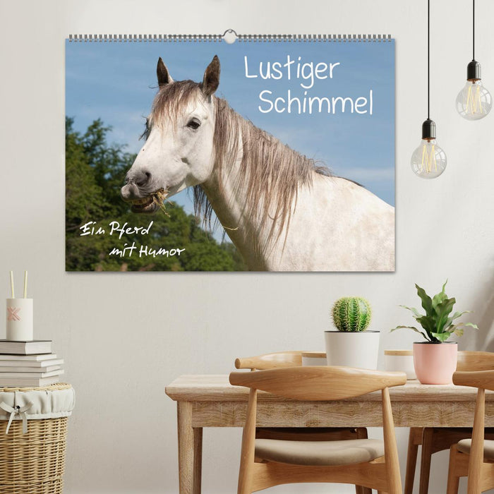 Lustiger Schimmel - ein Pferd mit Humor (CALVENDO Wandkalender 2025)