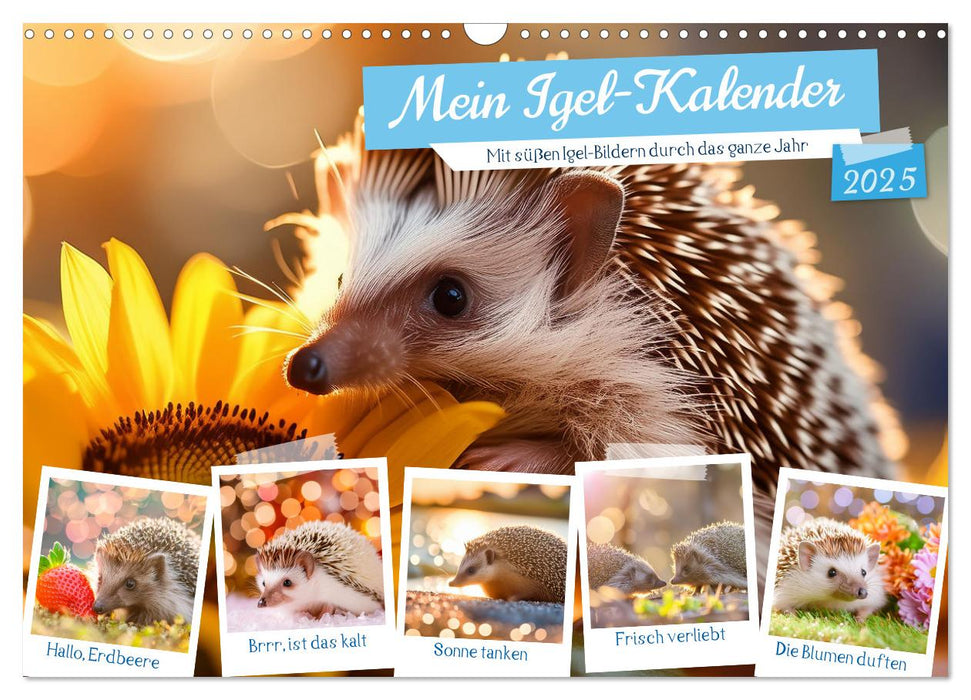 Mein Igel-Kalender (CALVENDO Wandkalender 2025)