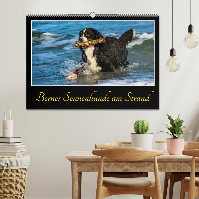 Berner Sennenhunde am Strand (CALVENDO Wandkalender 2025)