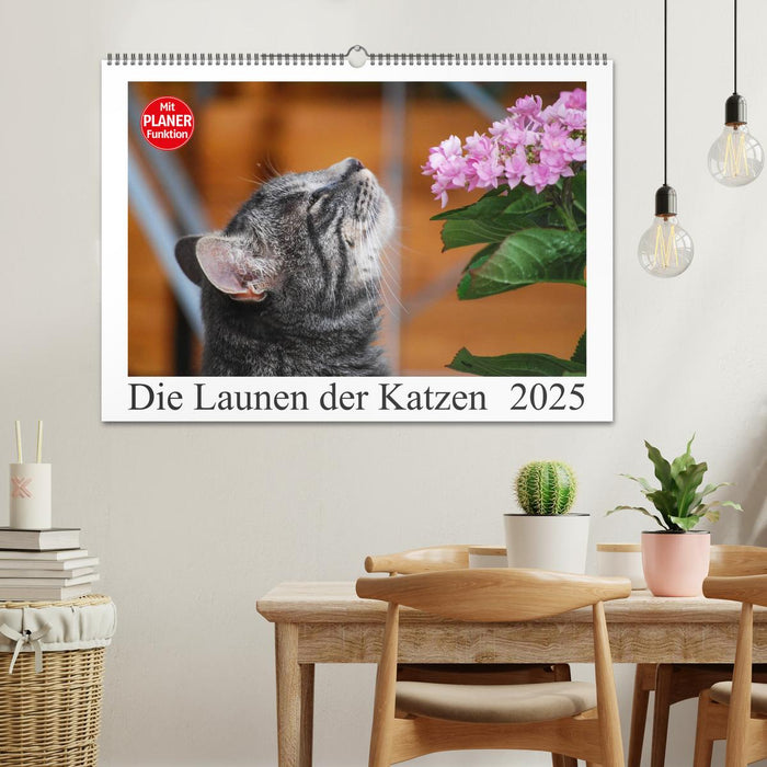 Die Launen der Katzen 2025 (CALVENDO Wandkalender 2025)