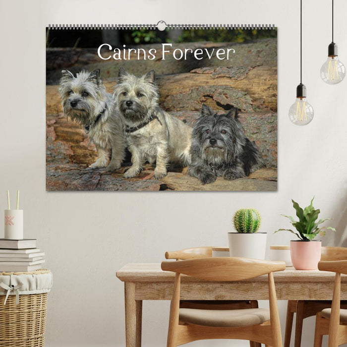 Cairns Forever (CALVENDO Wandkalender 2025)