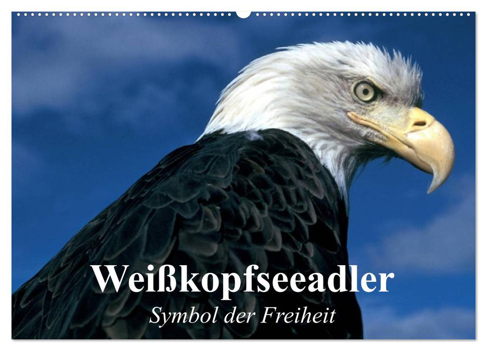 Weißkopfseeadler. Symbol der Freiheit (CALVENDO Wandkalender 2025)