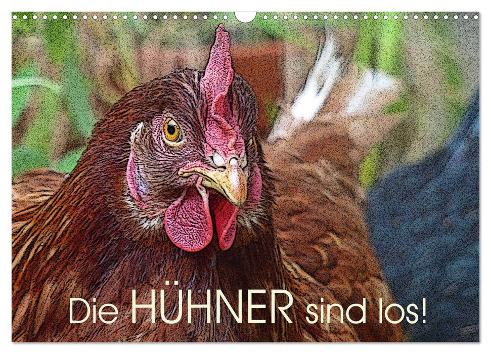 Die Hühner sind los! (CALVENDO Wandkalender 2025)