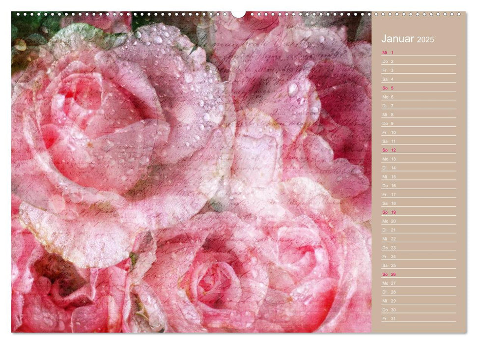 Romantische Rosen (CALVENDO Wandkalender 2025)