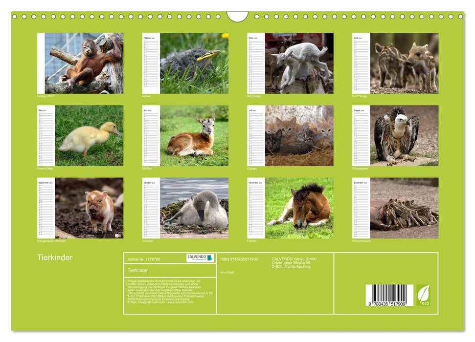 Tierkinder (CALVENDO Wandkalender 2025)