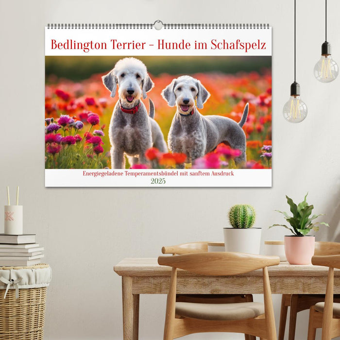 Bedlington Terrier - Hunde im Schafspelz (CALVENDO Wandkalender 2025)