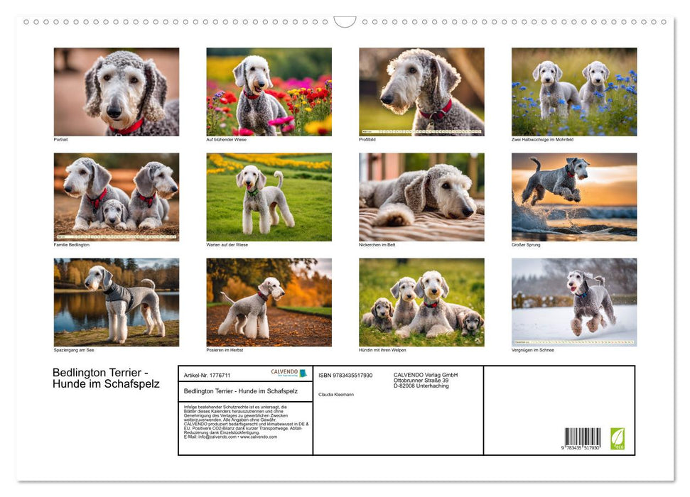 Bedlington Terrier - Hunde im Schafspelz (CALVENDO Wandkalender 2025)