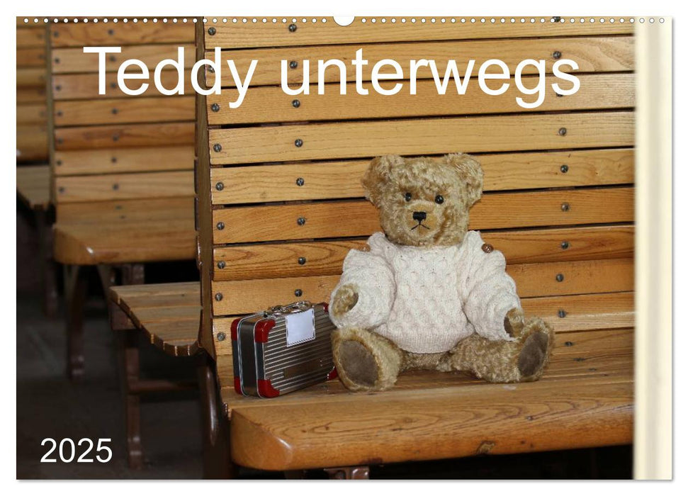 Teddy unterwegs (CALVENDO Wandkalender 2025)