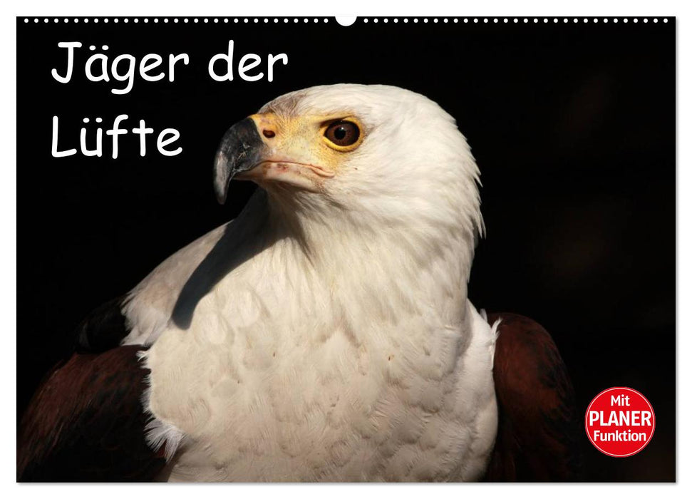 Jäger der Lüfte (CALVENDO Wandkalender 2025)