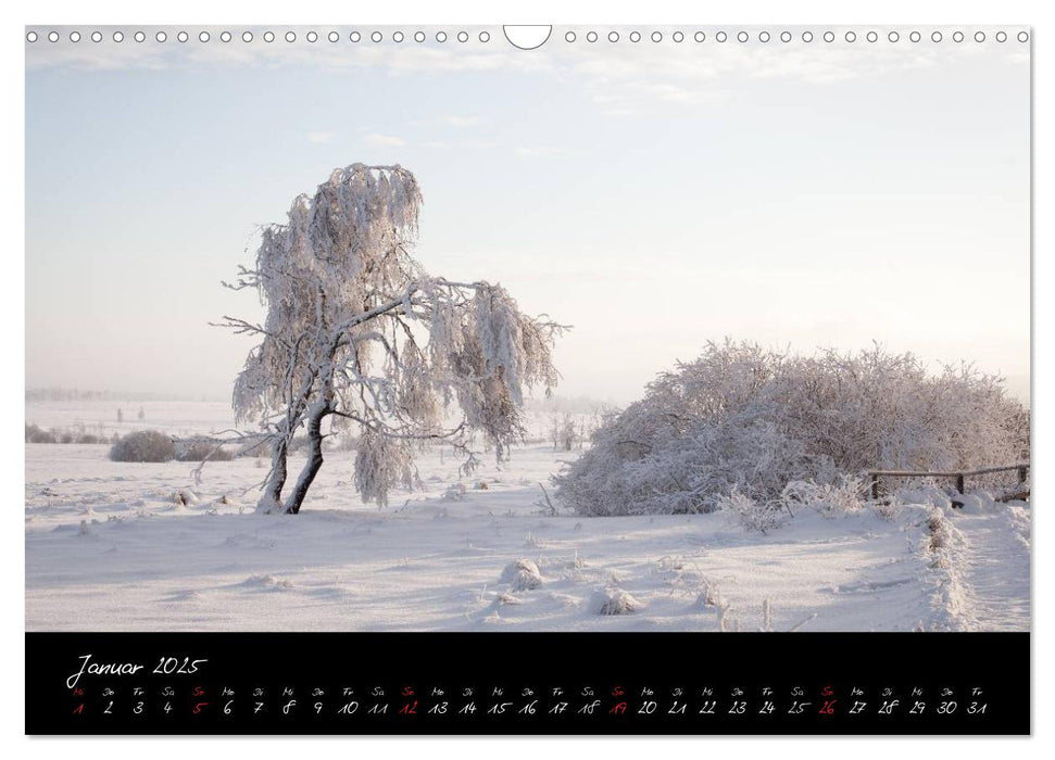 Hochmoor Hohes Venn (CALVENDO Wandkalender 2025)