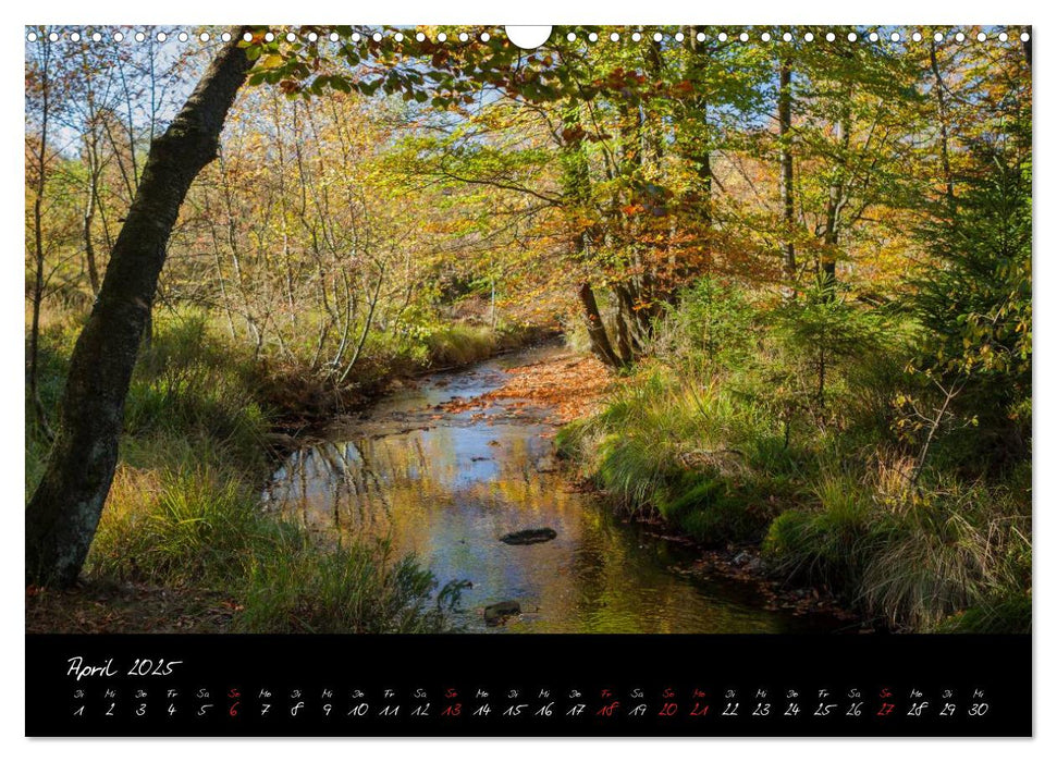 Hochmoor Hohes Venn (CALVENDO Wandkalender 2025)