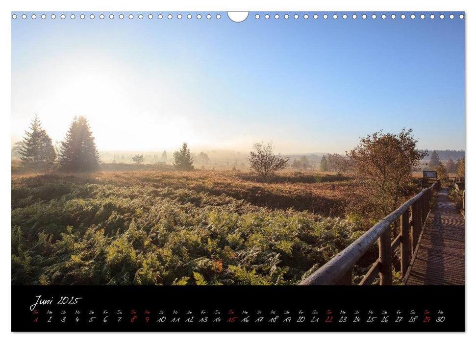 Hochmoor Hohes Venn (CALVENDO Wandkalender 2025)