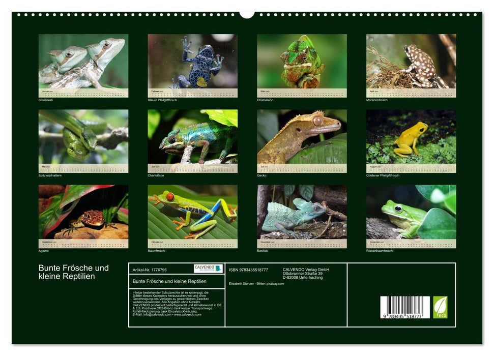 Bunte Frösche und kleine Reptilien (CALVENDO Premium Wandkalender 2025)