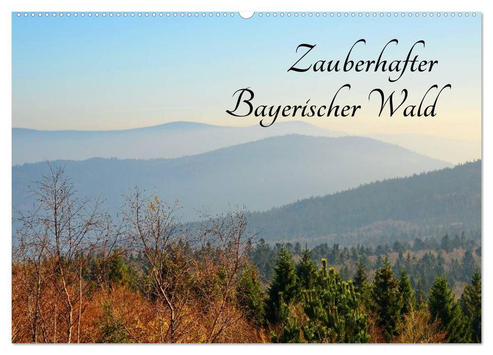 Zauberhafter Bayerischer Wald (CALVENDO Wandkalender 2025)