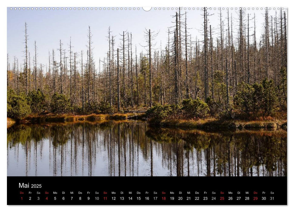 Zauberhafter Bayerischer Wald (CALVENDO Wandkalender 2025)