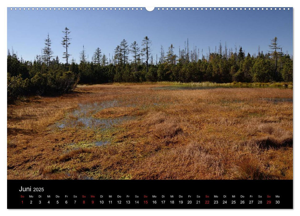 Zauberhafter Bayerischer Wald (CALVENDO Wandkalender 2025)