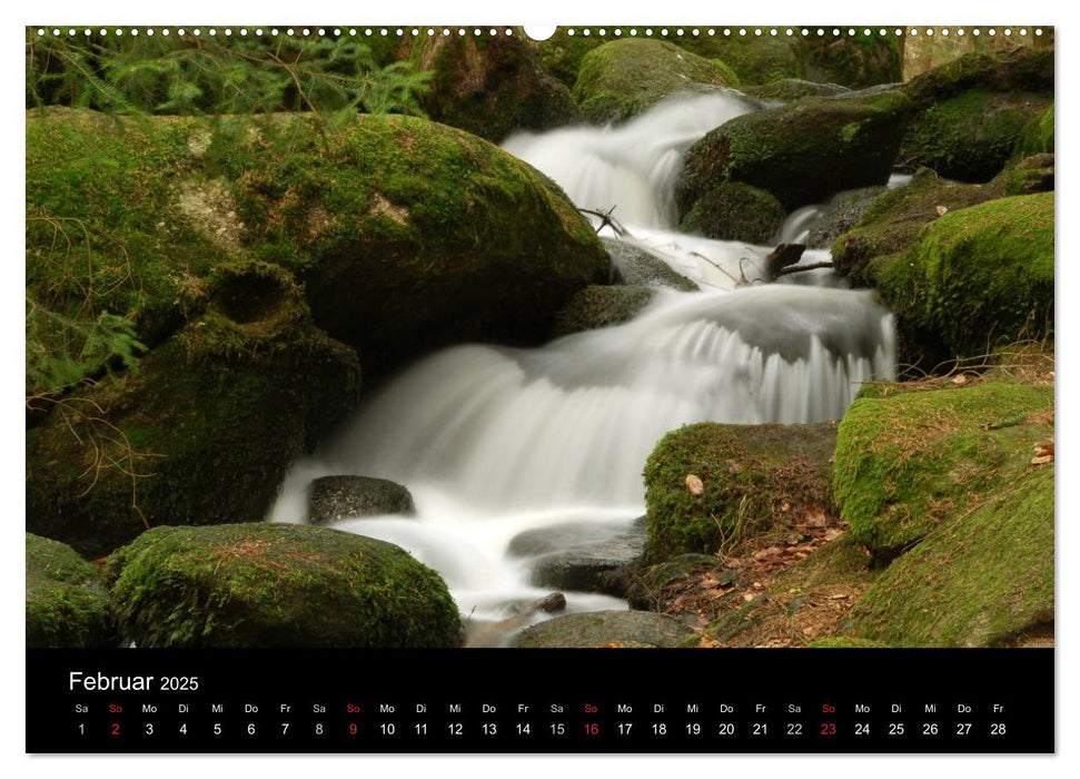 Zauberhafter Bayerischer Wald (CALVENDO Premium Wandkalender 2025)