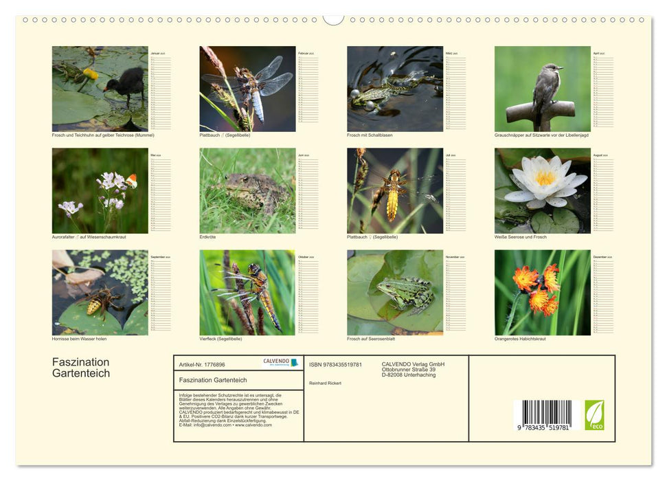 Faszination Gartenteich (CALVENDO Premium Wandkalender 2025)