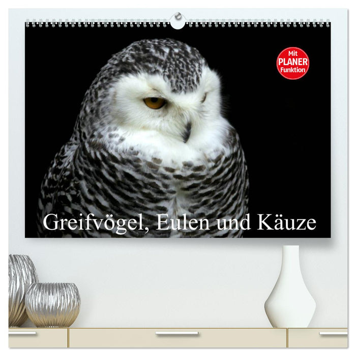 Greifvögel, Eulen und Käuze (CALVENDO Premium Wandkalender 2025)