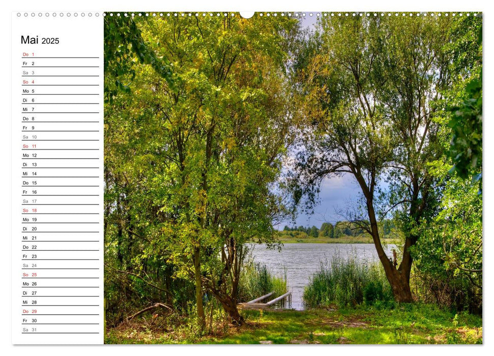 Naturparadies Barnim (CALVENDO Premium Wandkalender 2025)