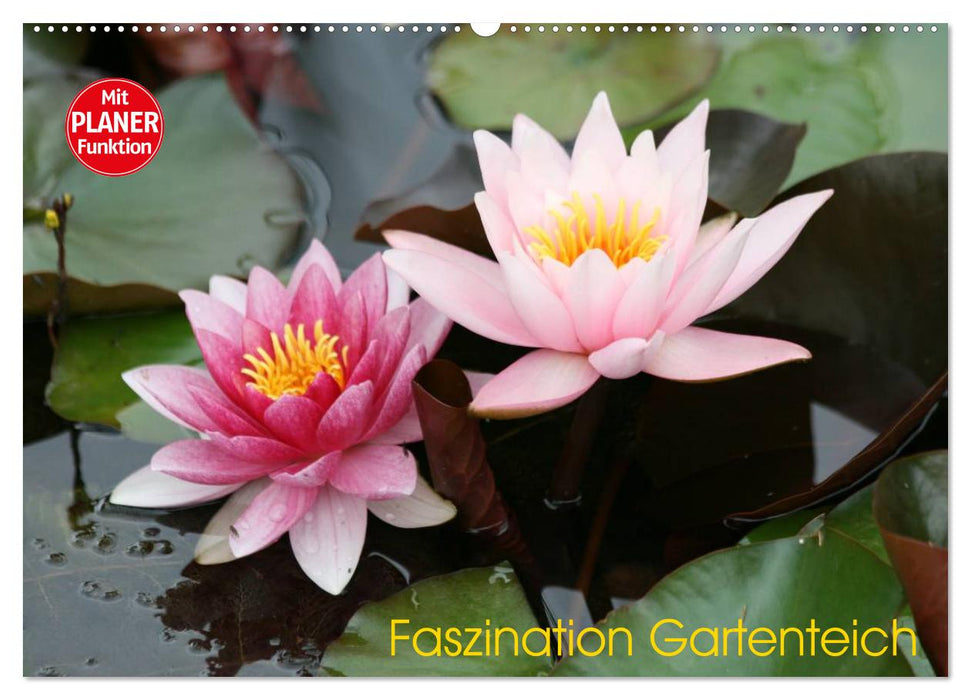 Faszination Gartenteich (CALVENDO Wandkalender 2025)