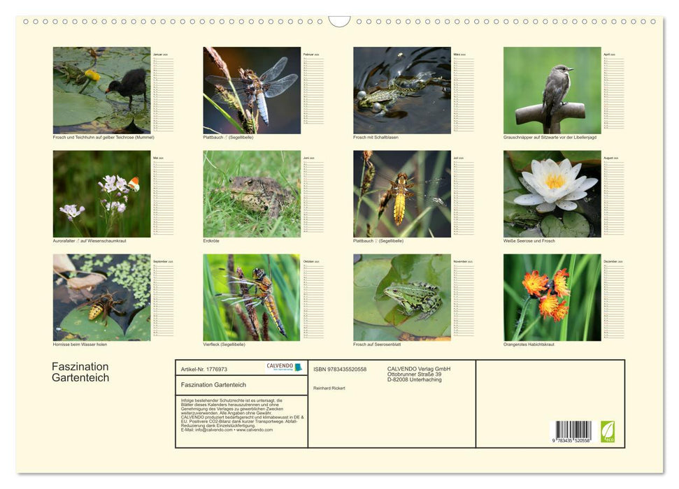 Faszination Gartenteich (CALVENDO Wandkalender 2025)