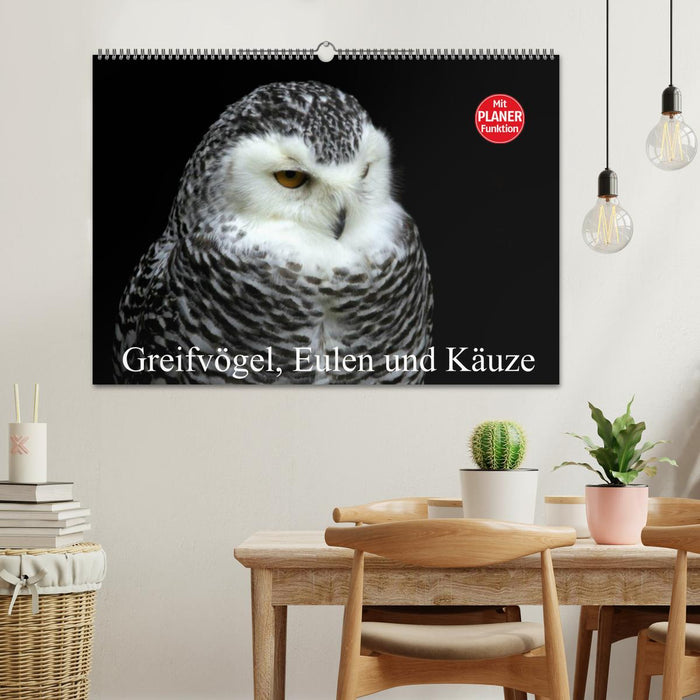 Greifvögel, Eulen und Käuze (CALVENDO Wandkalender 2025)