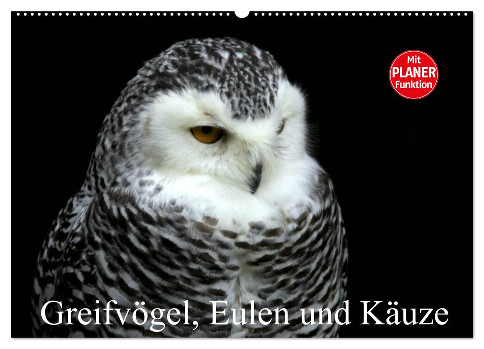 Greifvögel, Eulen und Käuze (CALVENDO Wandkalender 2025)