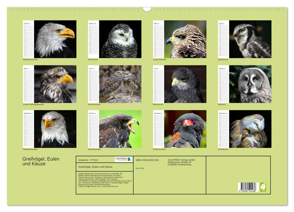 Greifvögel, Eulen und Käuze (CALVENDO Wandkalender 2025)