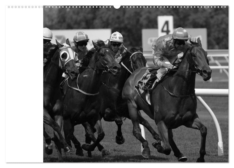 Leidenschaft Pferdesport - Impressionen (CALVENDO Premium Wandkalender 2025)