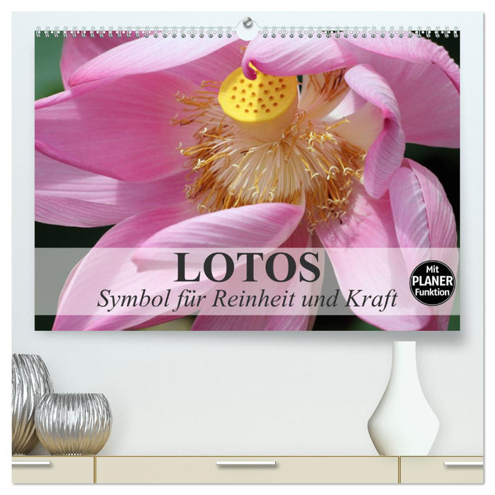 Lotos. Symbol für Reinheit und Kraft (CALVENDO Premium Wandkalender 2025)