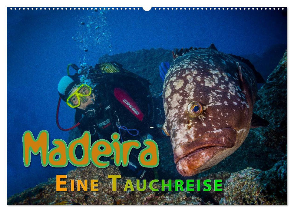 Madeira, eine Tauchreise (CALVENDO Wandkalender 2025)